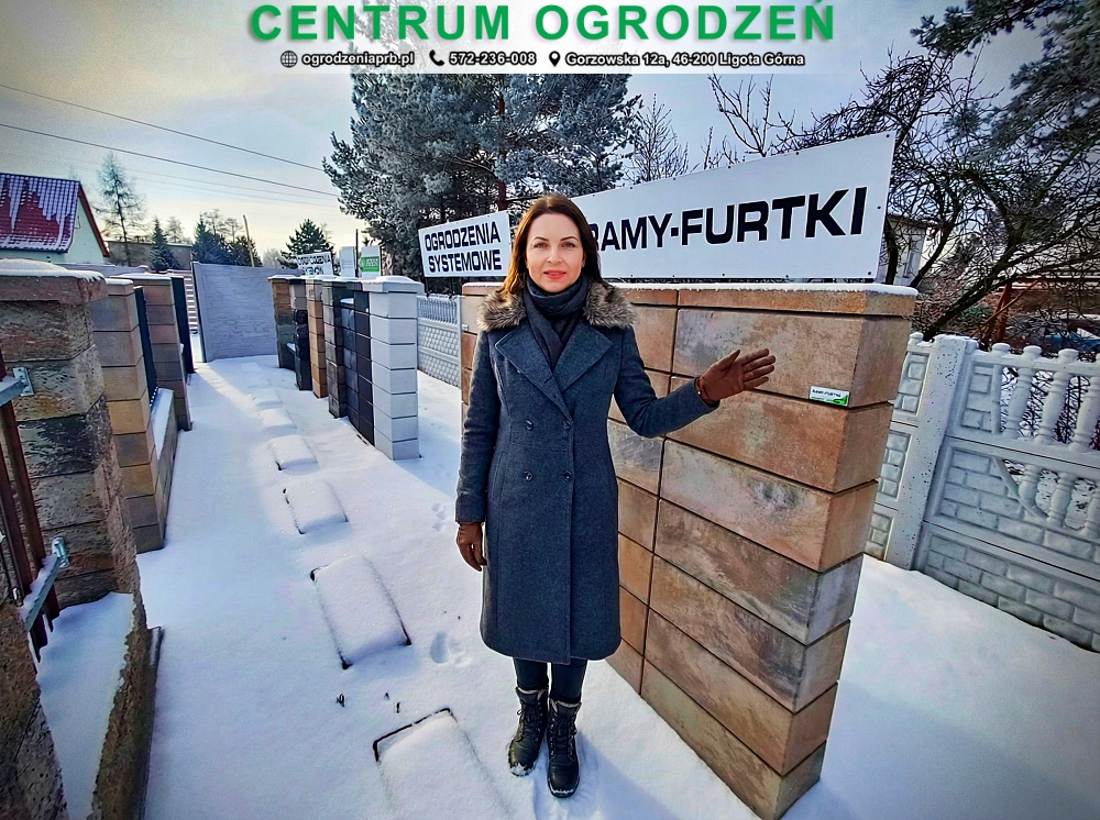 Read more about the article Ogrodzenie betonowe, metalowe czy panelowe  – które wybrać?